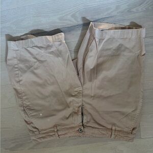 AG Wanderer Slim Shorts- 33